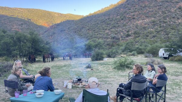 8-daagse paardrijtocht van de Klein Karoo naar de stranden van de Garden Route.