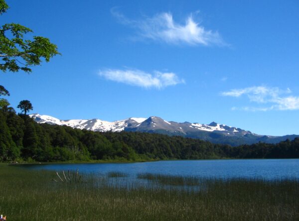 Ranchvakantie met verschillende ritten/tochten in Pucón - Chili