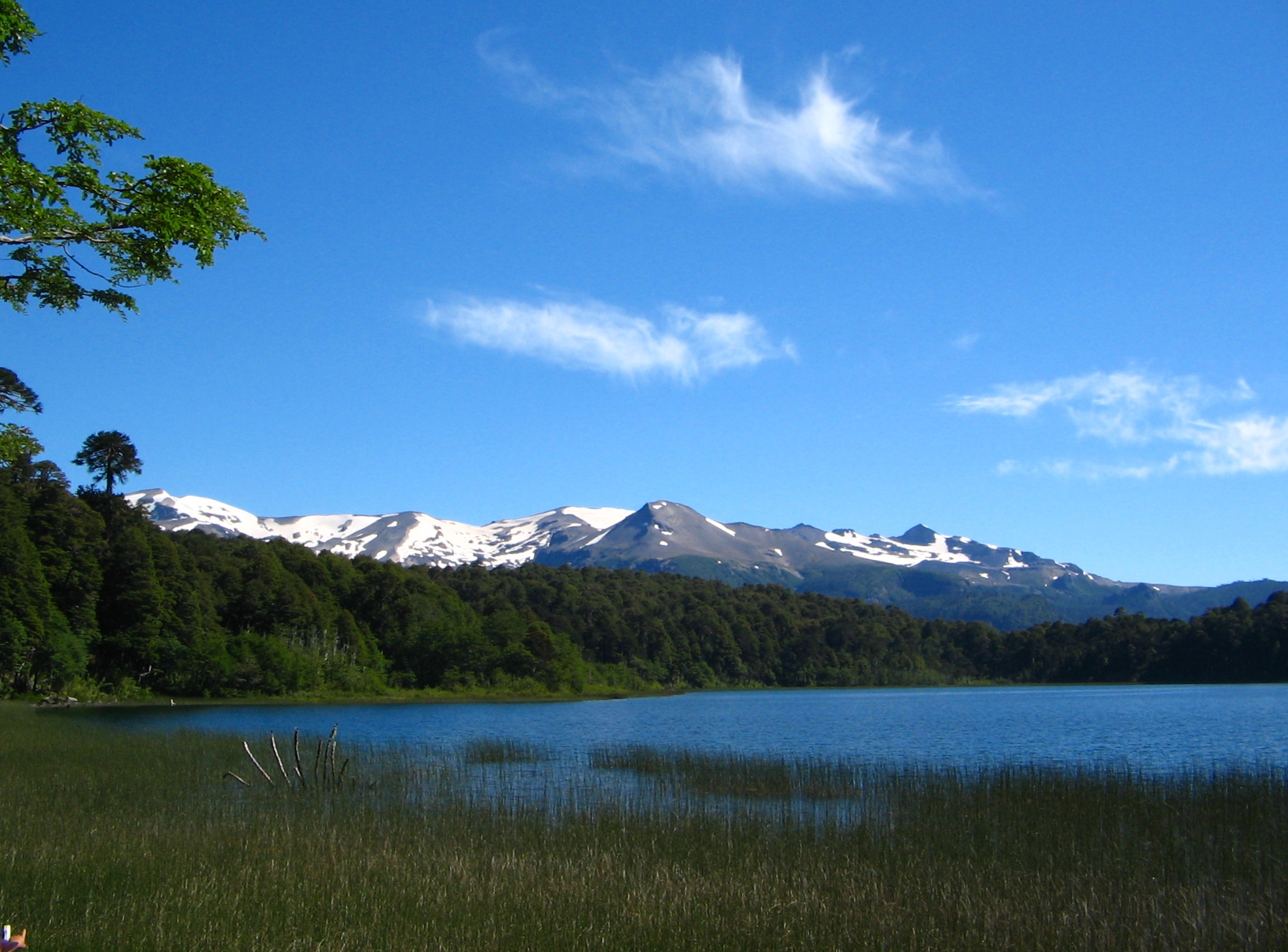 Ranchvakantie met verschillende ritten/tochten in Pucón - Chili - Afbeelding 18