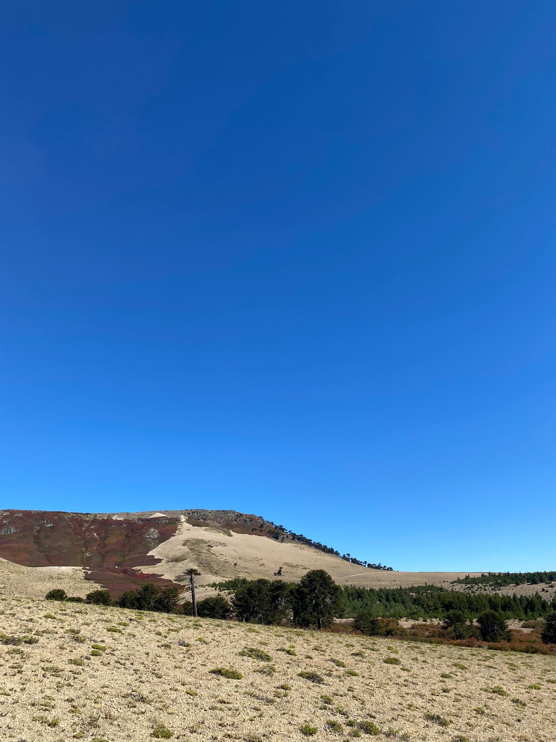 Ranchvakantie met verschillende ritten/tochten in Pucón - Chili - Afbeelding 15