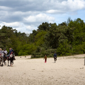 Met je eigen paard op vakantie in De Maashorst Brabant - Nederland