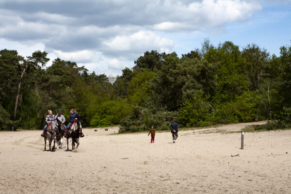 Met je eigen paard op vakantie in De Maashorst Brabant - Nederland