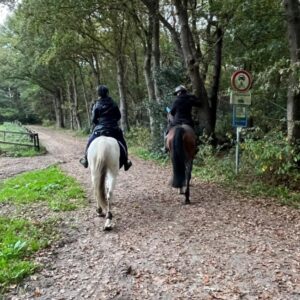 Met je eigen paard op vakantie Loonse en Drunense Duinen Noord-Brabant - Nederland - Afbeelding 5