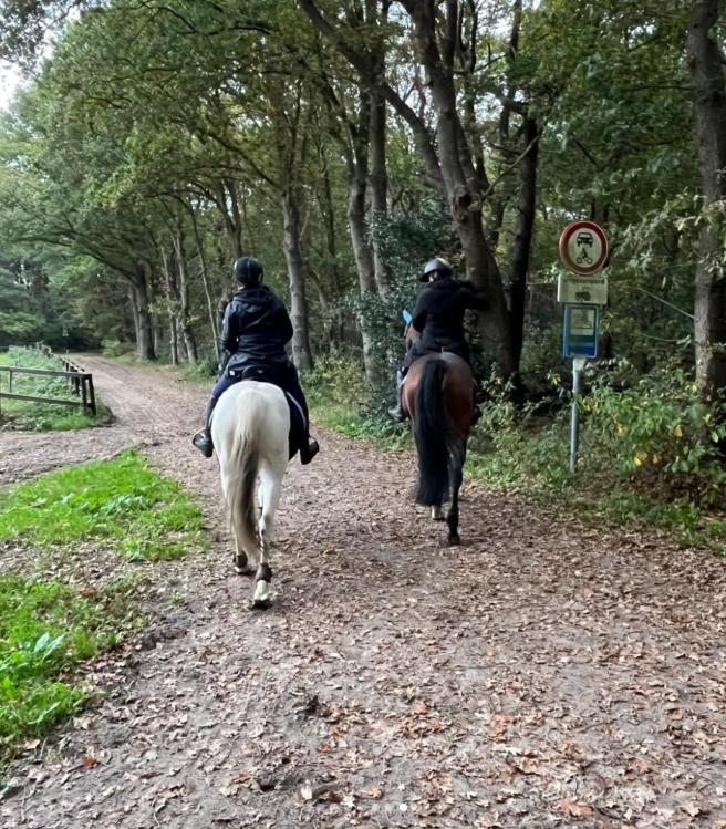 Met je eigen paard op vakantie Loonse en Drunense Duinen Noord-Brabant - Nederland - Afbeelding 5