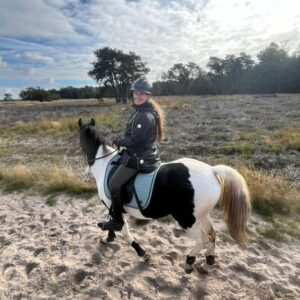Met je eigen paard op vakantie Loonse en Drunense Duinen Noord-Brabant - Nederland - Afbeelding 6