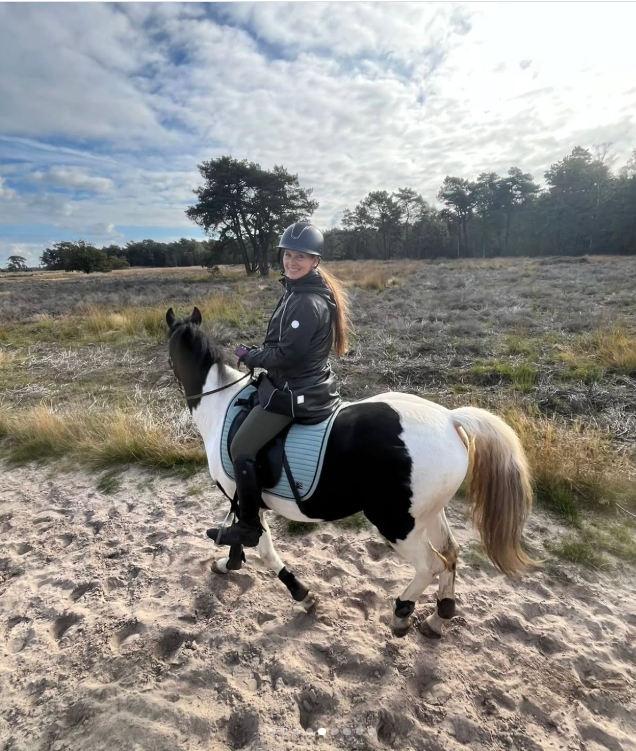 Met je eigen paard op vakantie Loonse en Drunense Duinen Noord-Brabant - Nederland - Afbeelding 6