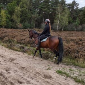Met je eigen paard op vakantie Loonse en Drunense Duinen Noord-Brabant - Nederland - Afbeelding 7