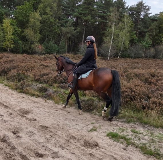Met je eigen paard op vakantie Loonse en Drunense Duinen Noord-Brabant - Nederland