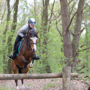 Met je eigen paard op vakantie in De Maashorst Brabant - Nederland - Afbeelding 6