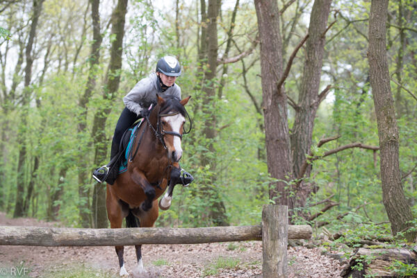 Met je eigen paard op vakantie in De Maashorst Brabant - Nederland