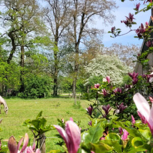 Met je eigen paard op vakantie in het Drents-Friese Wold Drenthe- Nederland - Afbeelding 11