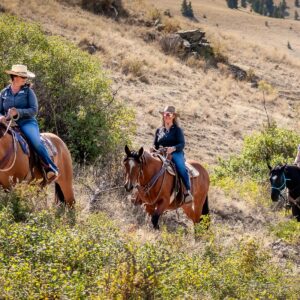 Retraite Katholiek op een Western Ranch in Wolf Creek - Montana - Afbeelding 10
