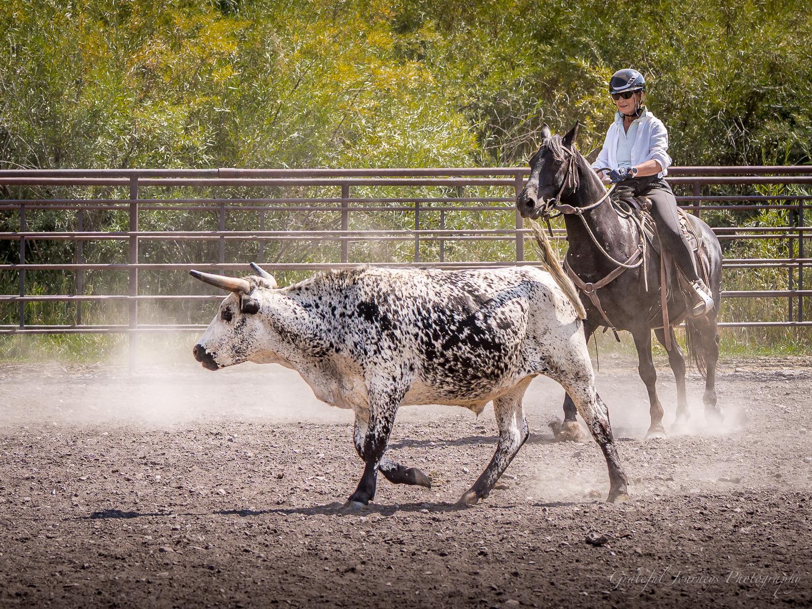 Ranchvakantie Western Wolf Creek - Montana - Afbeelding 10