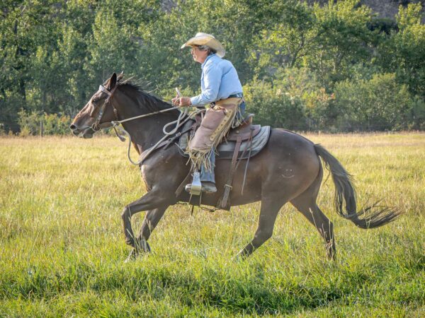 Ranchvakantie Western Wolf Creek - Montana
