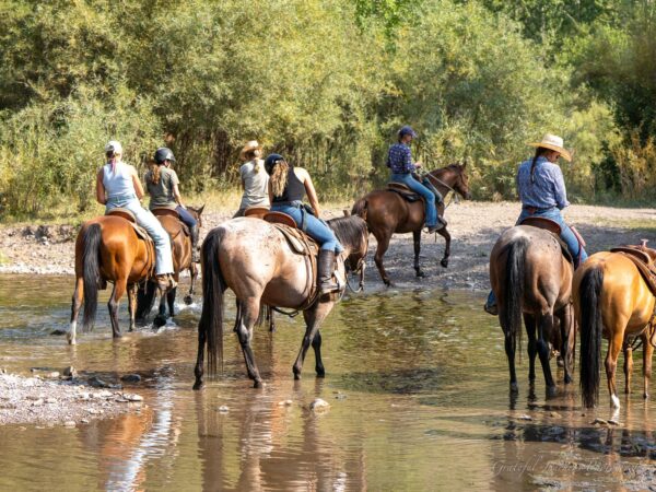 Ranchvakantie Western Wolf Creek - Montana