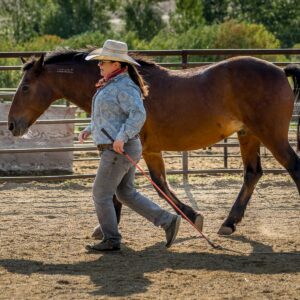 Ranchvakantie Western Wolf Creek - Montana - Afbeelding 5