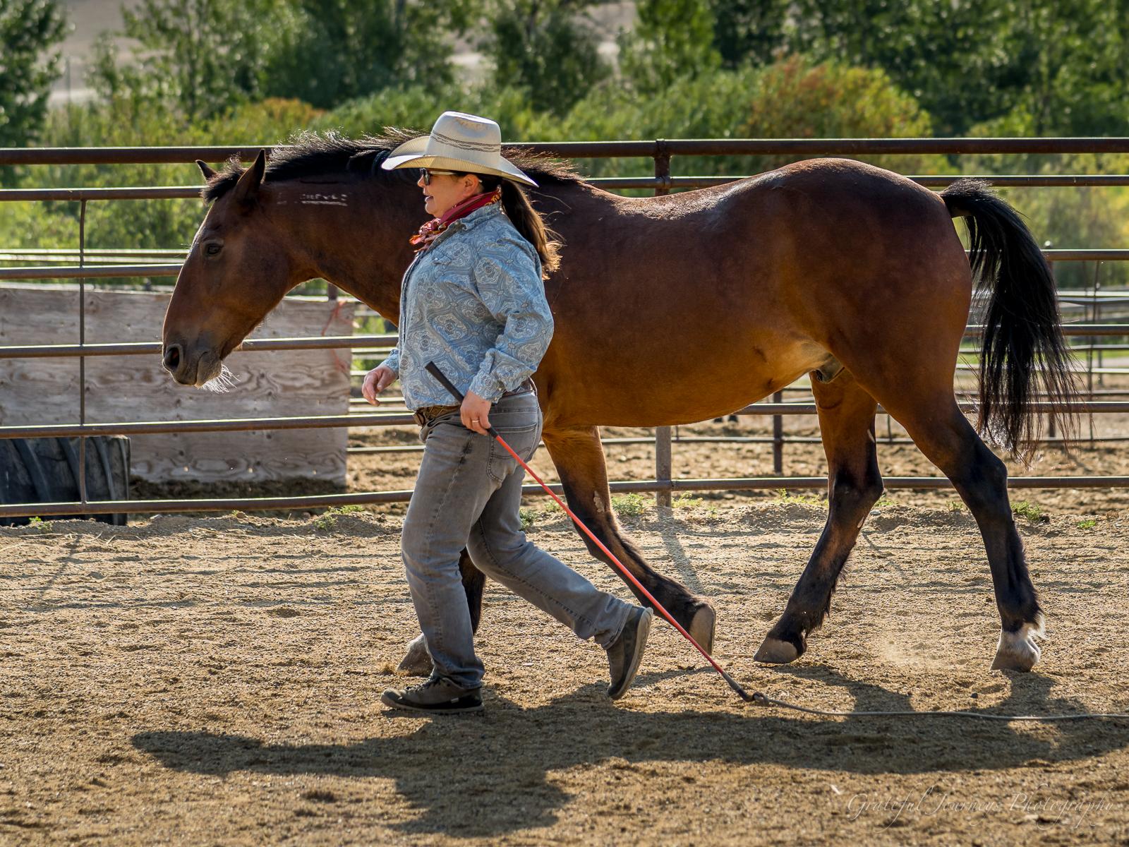 Ranchvakantie Western Wolf Creek - Montana - Afbeelding 5