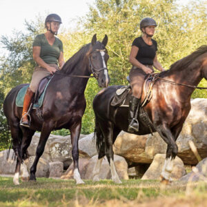 Met je eigen paard op vakantie in het Drents-Friese Wold Drenthe- Nederland - Afbeelding 18