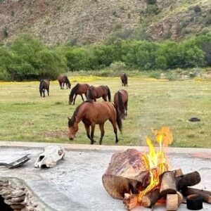 8-daagse paardrijtocht van de Klein Karoo naar de stranden van de Garden Route. - Afbeelding 22