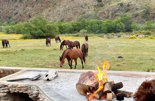 8-daagse paardrijtocht van de Klein Karoo naar de stranden van de Garden Route.