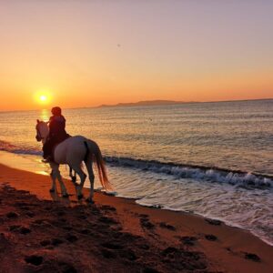 Buitenrit Privé Vlychada Santorini - Griekenland