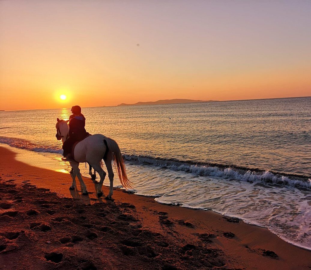 Buitenrit Privé Vlychada Santorini - Griekenland - Afbeelding 1