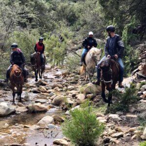 Buitenritten (evt. met overnachting) - Klein Karoo - Afbeelding 7