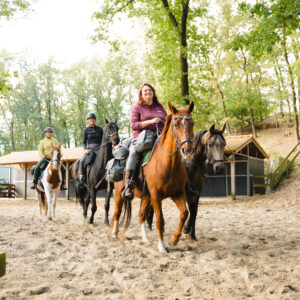 Met je eigen paard op vakantie in De Maashorst Brabant - Nederland - Afbeelding 4