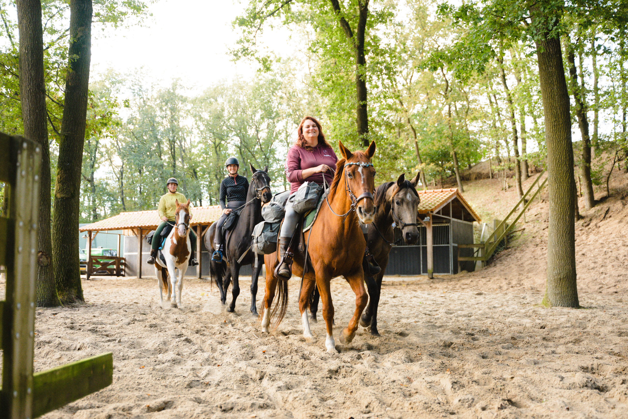 Met je eigen paard op vakantie in De Maashorst Brabant - Nederland - Afbeelding 4