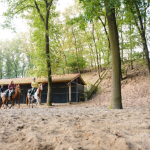 Met je eigen paard op vakantie in De Maashorst Brabant - Nederland - Afbeelding 3