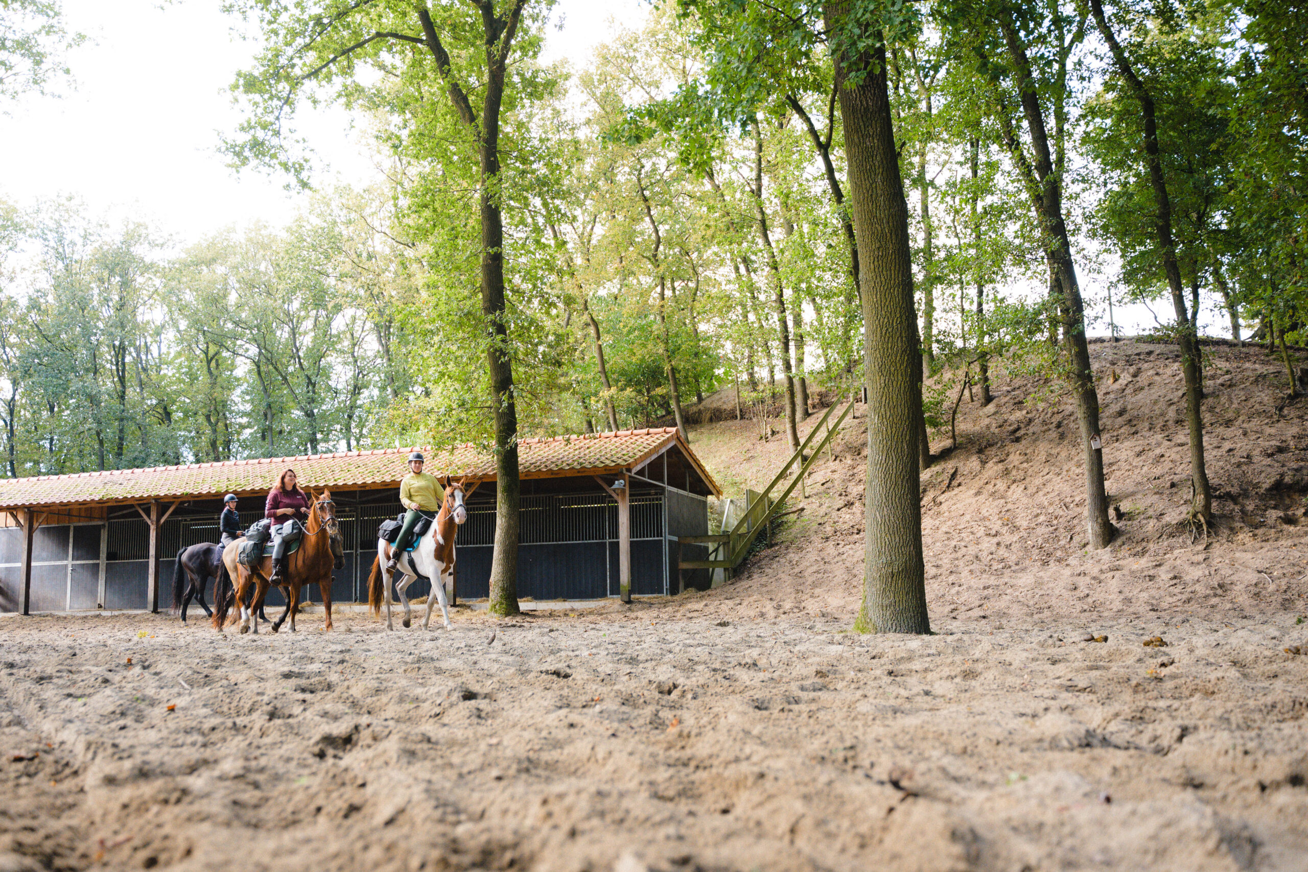 Met je eigen paard op vakantie in De Maashorst Brabant - Nederland - Afbeelding 3