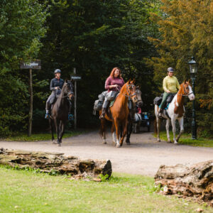 Met je eigen paard op vakantie in De Maashorst Brabant - Nederland - Afbeelding 2