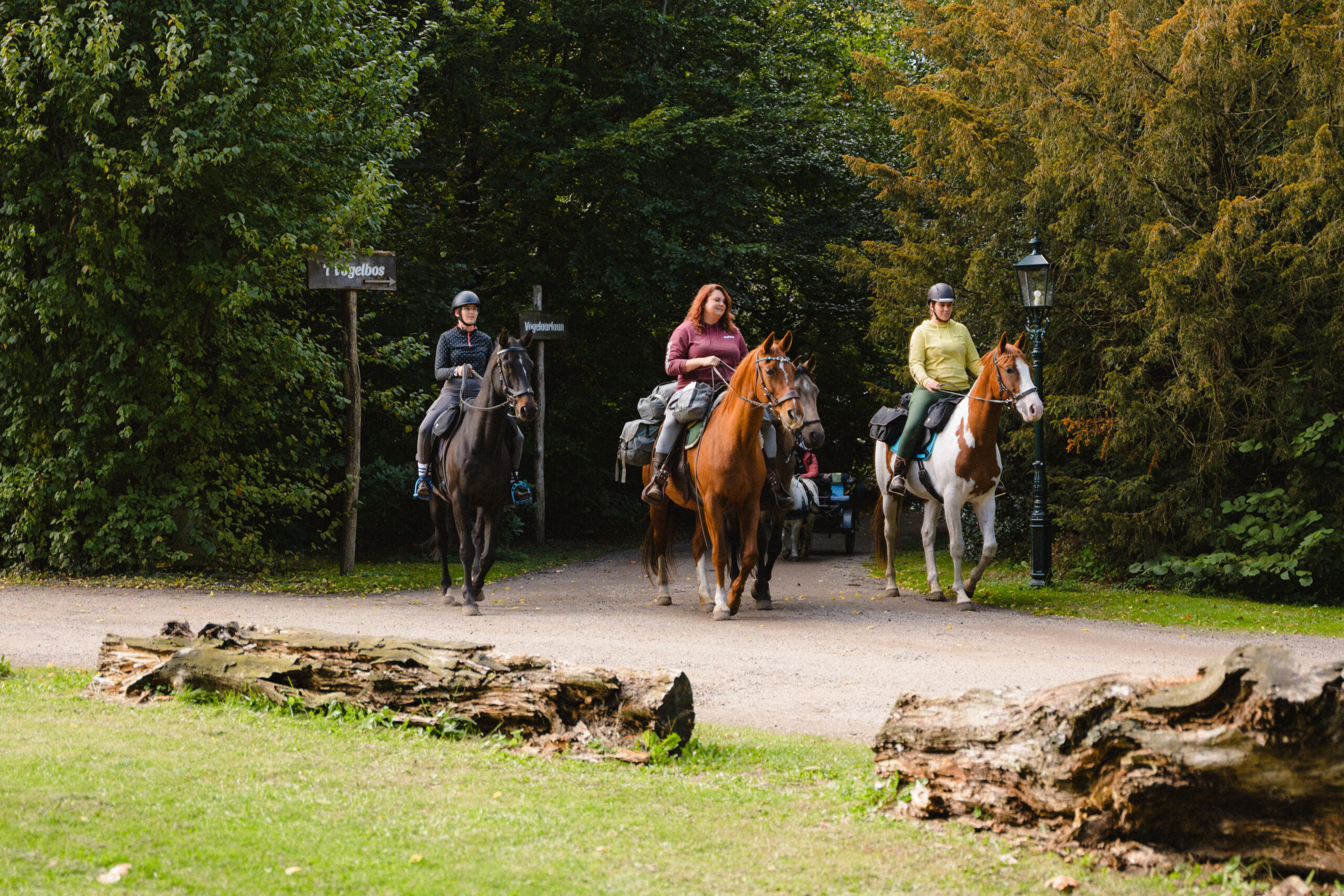Met je eigen paard op vakantie in De Maashorst Brabant - Nederland - Afbeelding 2