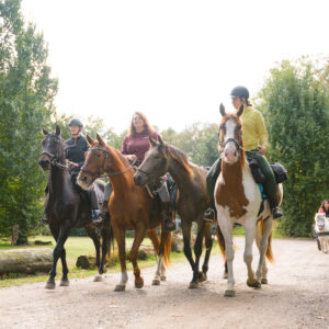 Met je eigen paard op vakantie in De Maashorst Brabant - Nederland - Afbeelding 7
