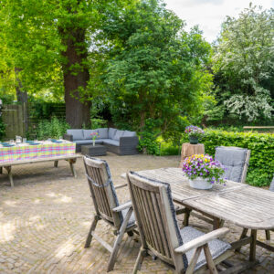 Met je eigen paard op vakantie in het Drents-Friese Wold Drenthe- Nederland - Afbeelding 20