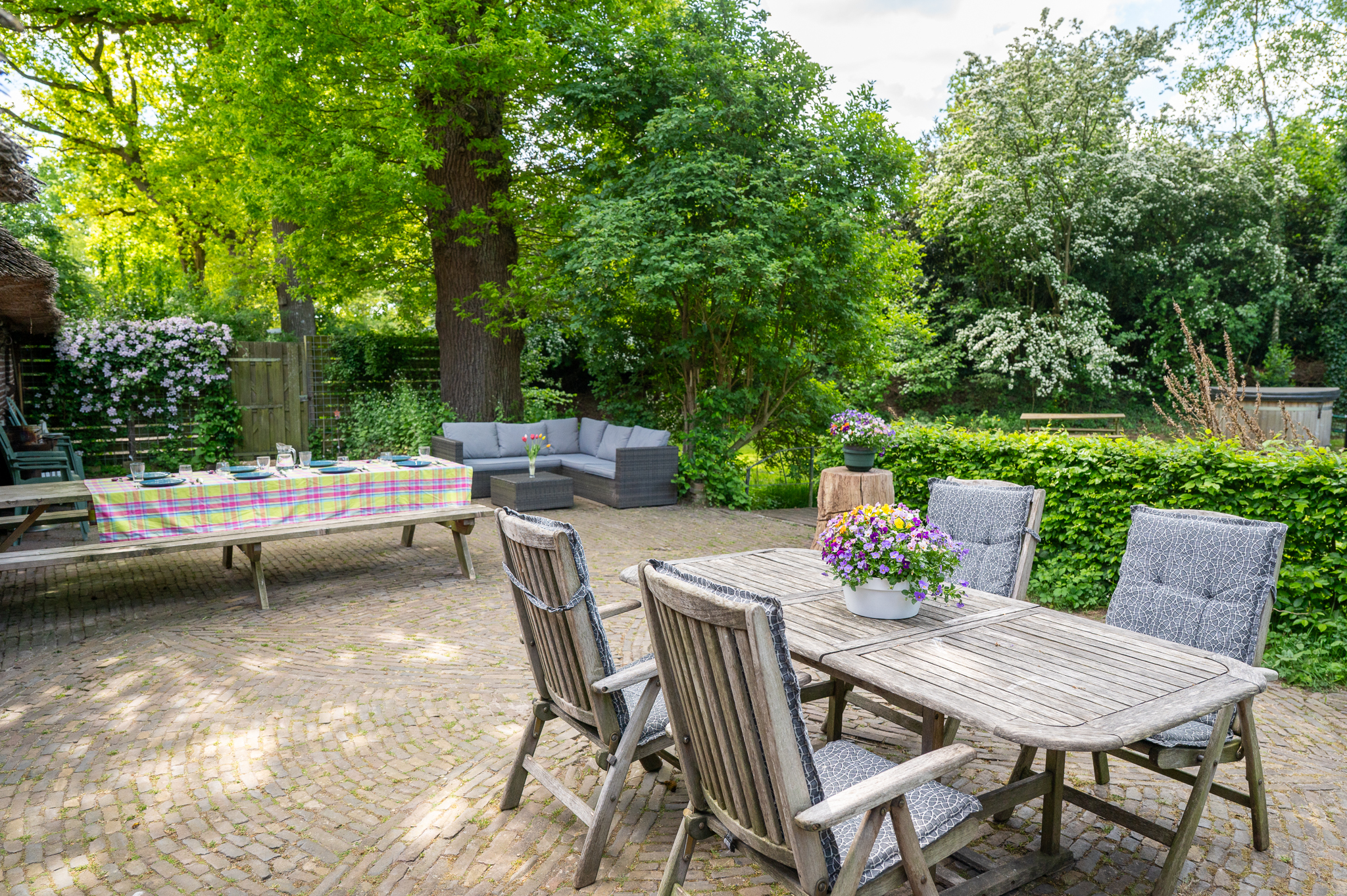 Met je eigen paard op vakantie in het Drents-Friese Wold Drenthe- Nederland