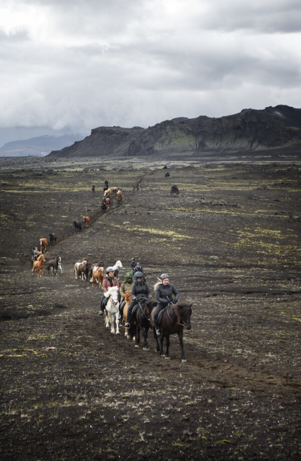 7-daagse paardrijtocht naar Landmannalaugar - IJsland
