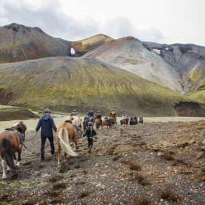 7-daagse paardrijtocht naar Landmannalaugar - IJsland - Afbeelding 3