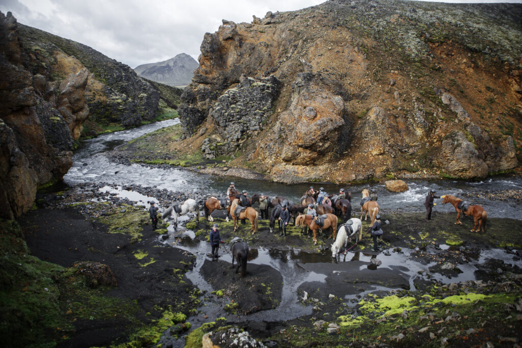 7-daagse paardrijtocht naar Landmannalaugar - IJsland