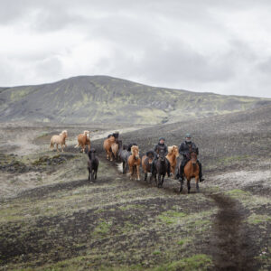 7-daagse paardrijtocht naar Landmannalaugar - IJsland - Afbeelding 6