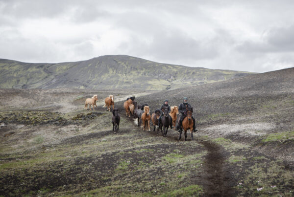 7-daagse paardrijtocht naar Landmannalaugar - IJsland