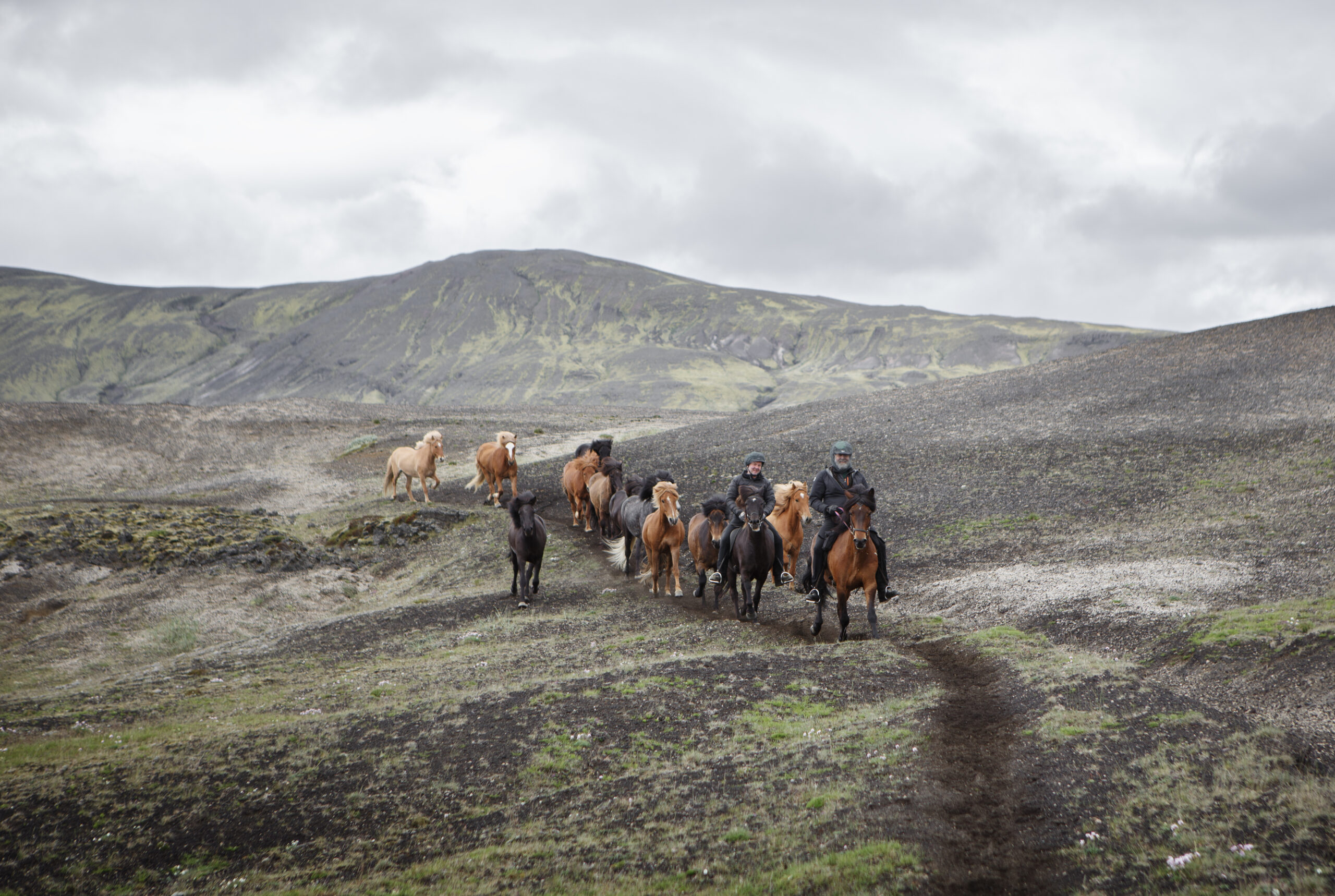 7-daagse paardrijtocht naar Landmannalaugar - IJsland - Afbeelding 6