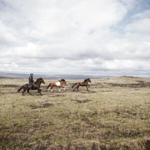 7-daagse paardrijtocht naar Landmannalaugar - IJsland - Afbeelding 4