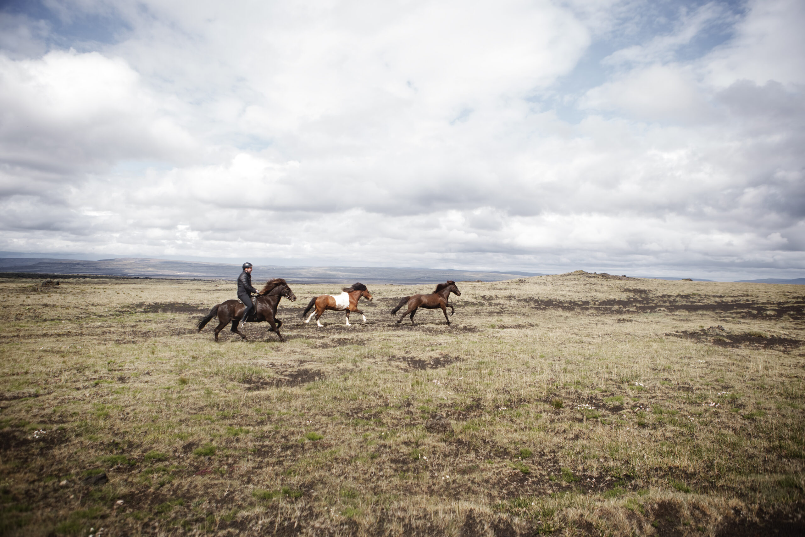 7-daagse paardrijtocht naar Landmannalaugar - IJsland - Afbeelding 4