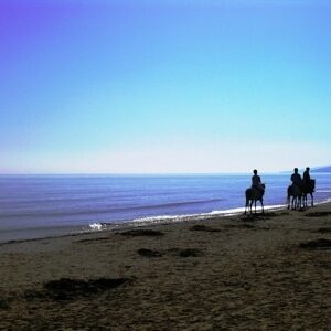 3-daagse paardrijtocht rond Psiloritis & de Witte Bergen Kreta - Griekenland - Afbeelding 9