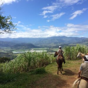 10-daagse Paardrijdtocht van berglandschappen naar de Pacifische kust - Costa Rica - Afbeelding 16