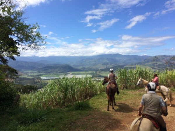 10-daagse Paardrijdtocht van berglandschappen naar de Pacifische kust - Costa Rica