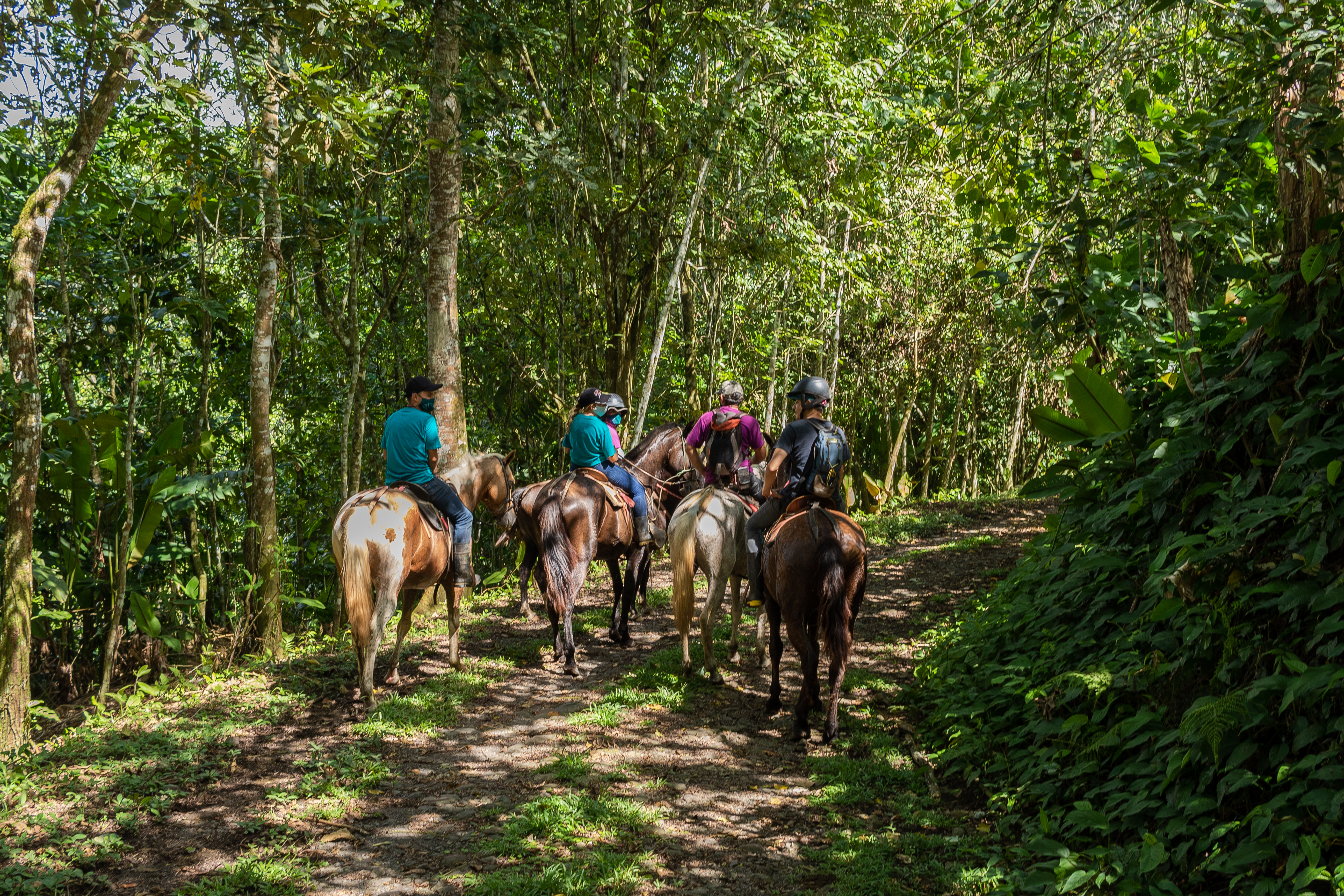 Van bergtoppen naar de oceaan – te paard door Costa Rica