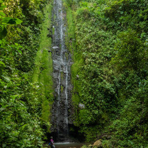 8-daagse Paardrijdtocht bergen, vulkanen, regenwoud - Costa Rica - Afbeelding 15