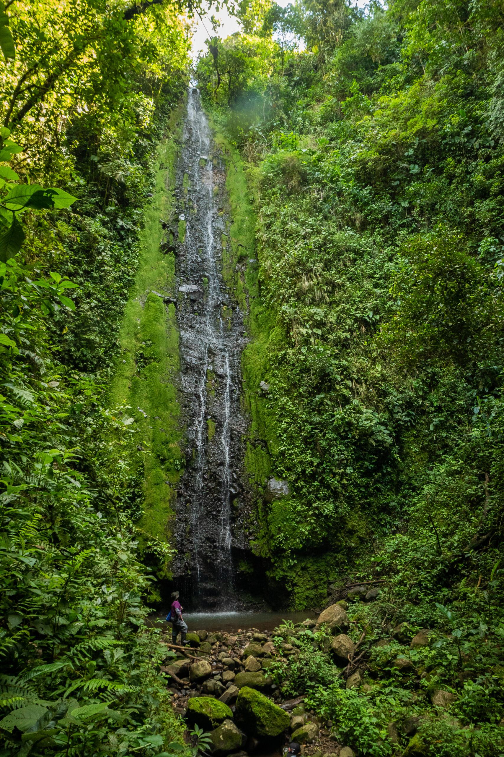 8-daagse Paardrijdtocht bergen, vulkanen, regenwoud - Costa Rica - Afbeelding 15